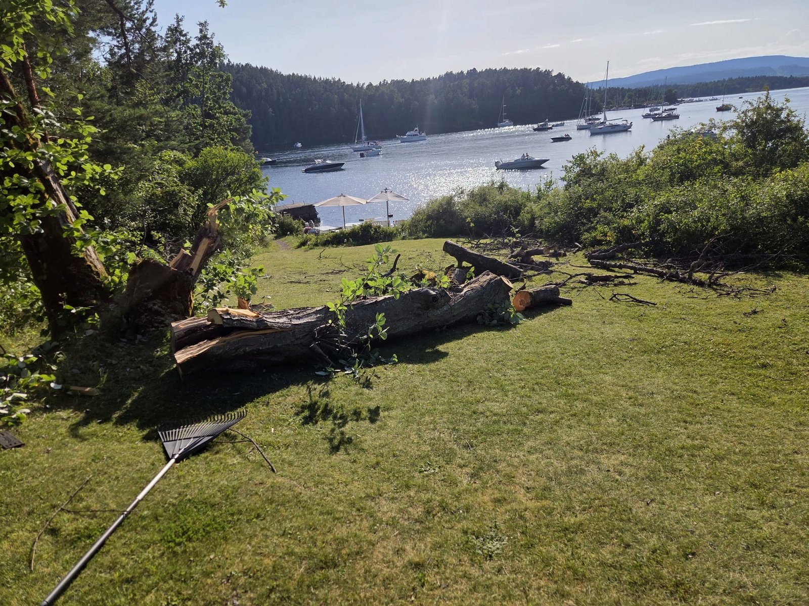 Arbeid i bolig, uteområde og næringslokale